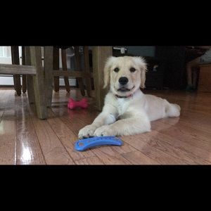 Meet your Posher, Natalie